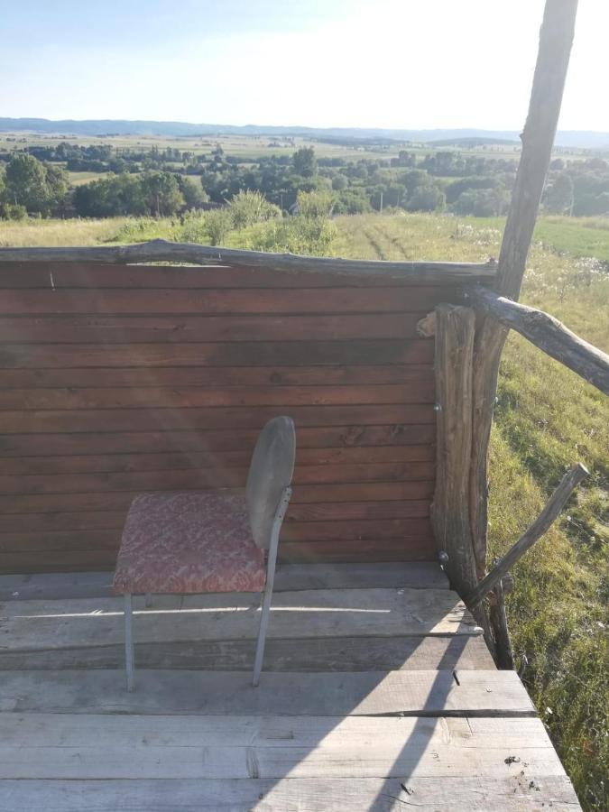 Pensiunea Agroturistica Casa Sirca Boghis Экстерьер фото