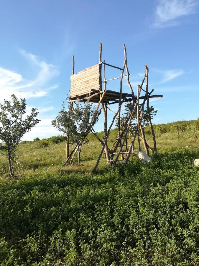 Pensiunea Agroturistica Casa Sirca Boghis Экстерьер фото