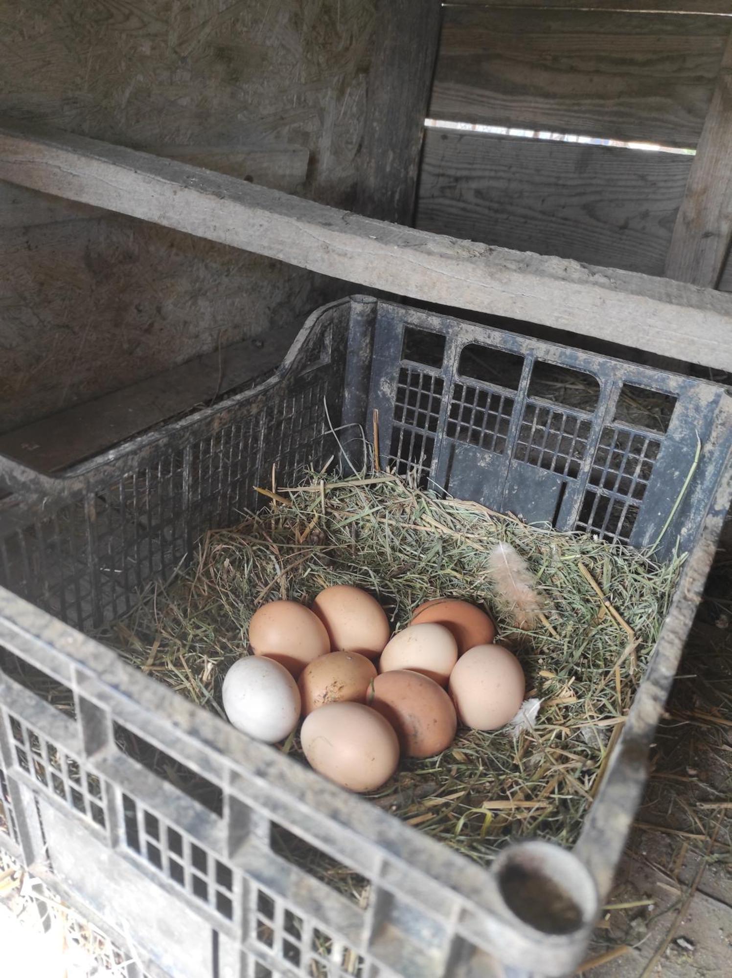 Pensiunea Agroturistica Casa Sirca Boghis Экстерьер фото