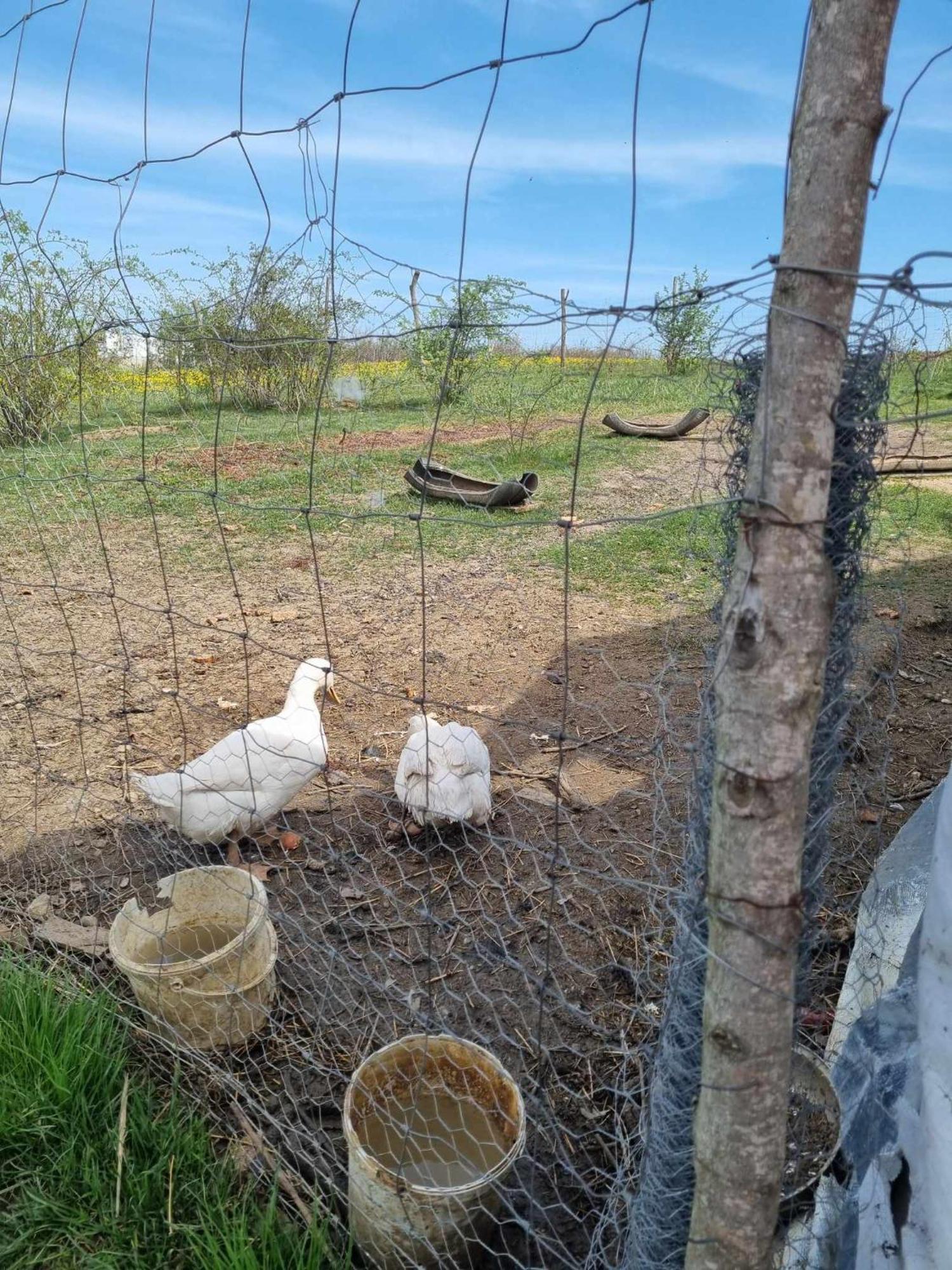 Pensiunea Agroturistica Casa Sirca Boghis Экстерьер фото